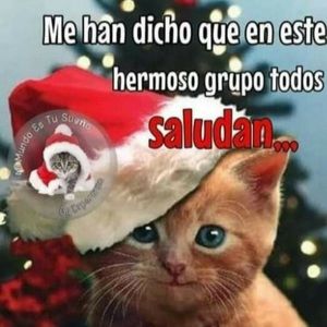 Meet your Posher, Iveth